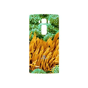 MAHOOT Atom Universe 6 Cover Sticker for LG G Flex 2