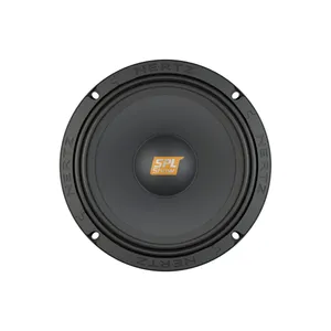 میدرنج پشت خودرو هرتز مدل SV250.1 سایز 10 اینچ بسته دو عددی