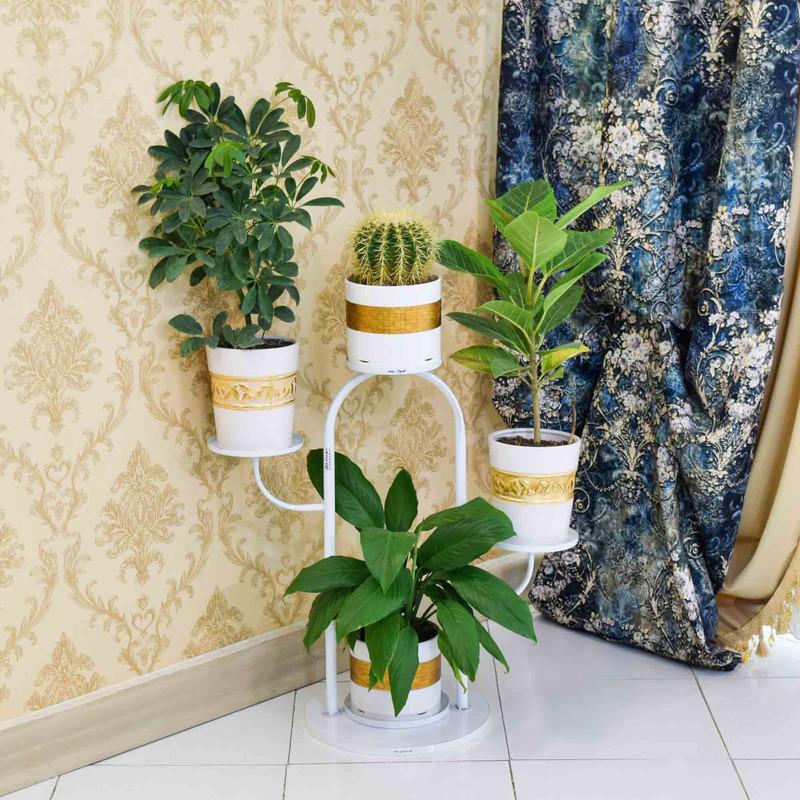 استند گلدان دکومرآت مدل کاکتوس 4