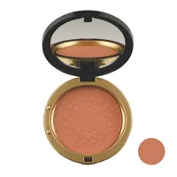 رژگونه روبی سان شماره 254