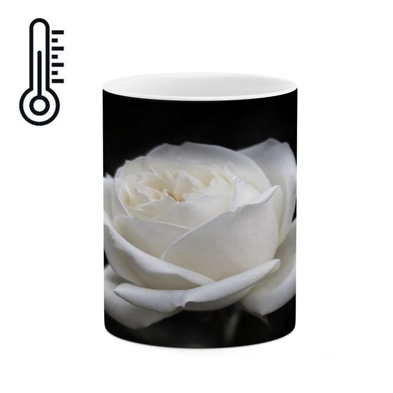 ماگ حرارتی کاکتی مدل گل کد mgh17108