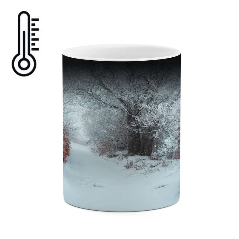 ماگ حرارتی کاکتی مدل منظره برفی کد mgh14966