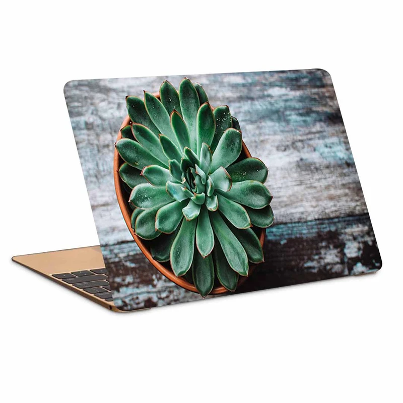 استیکر لپ تاپ طرح echeveria succulent pot کد N-170 مناسب برای لپ تاپ 15.6 اینچ