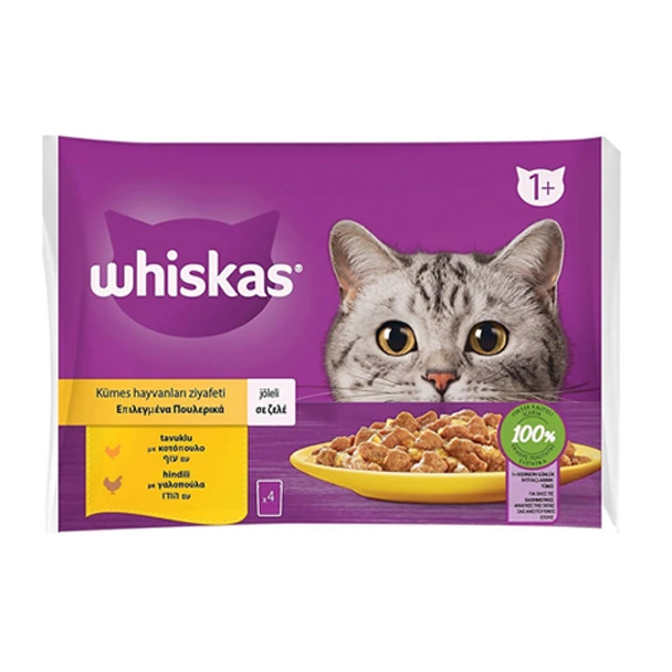 پوچ گربه ویسکاس مدل میکس پک مرغ و بوقلمون در ژله 340 گرم بسته 4 عددی