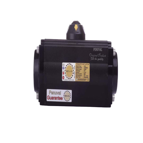 اکچویتور پنوال مدل DA63