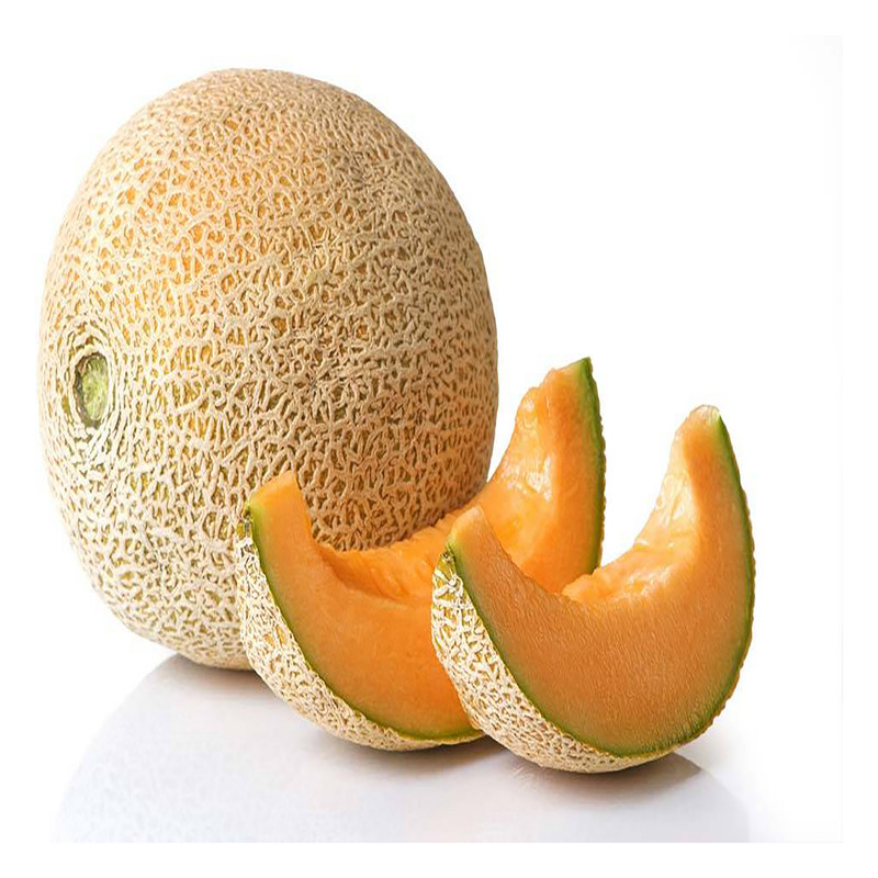 بذر ملون گرین فارم کد 005 بسته 3 عددی بذر ملون گرین فارم کد 005 بسته 3 عددی