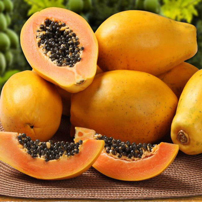 بذر میوه پاپایا گلابی وانیا سید مدل D17