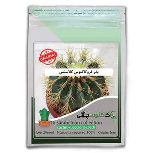 بذر فروکاکتوس گلاسنس کاکتوسچی مدل AM-025