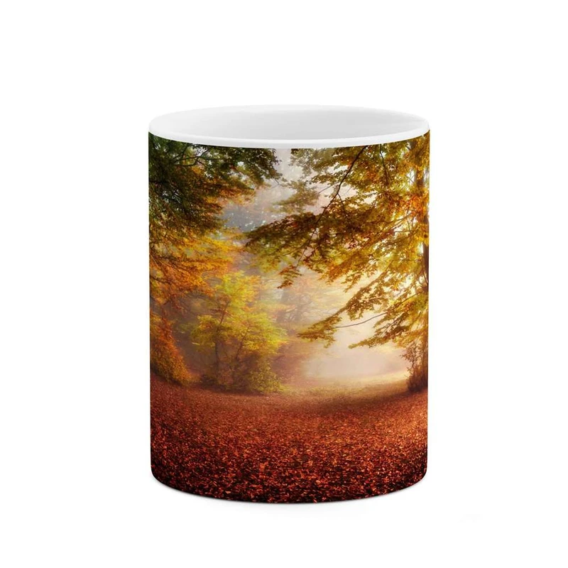 ماگ کاکتی مدل منظره کد mgh13176