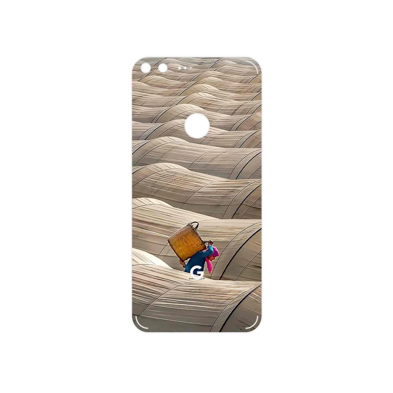 برچسب پوششی ماهوت مدل Strawberry Greenhouses مناسب برای گوشی موبایل گوگل Pixel