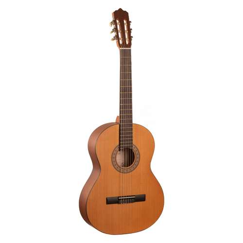 گیتار پارسی مدل M2 کد 4/4