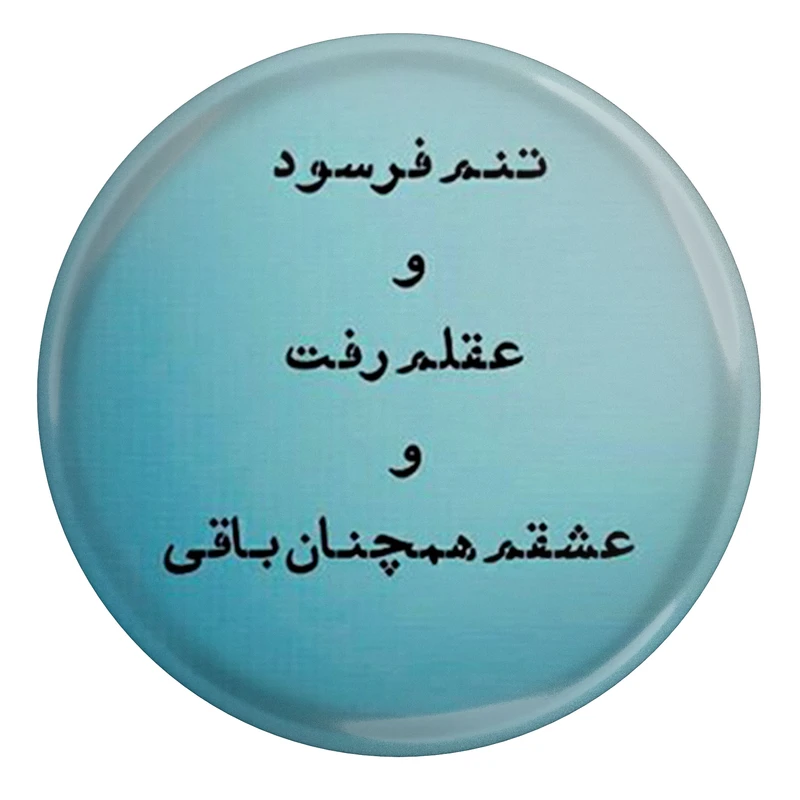 مگنت مدل تنم فرسود و عقلم رفت S12148 