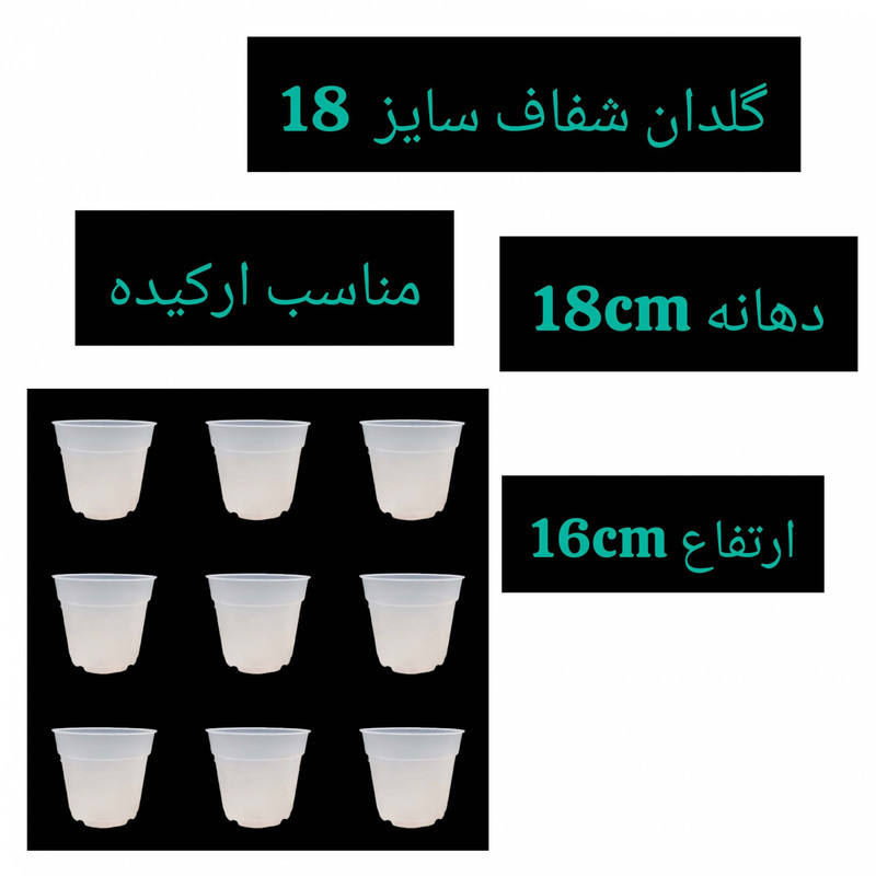 گلدان مدل شفاف ارکیده 18cm بسته 9 عددی