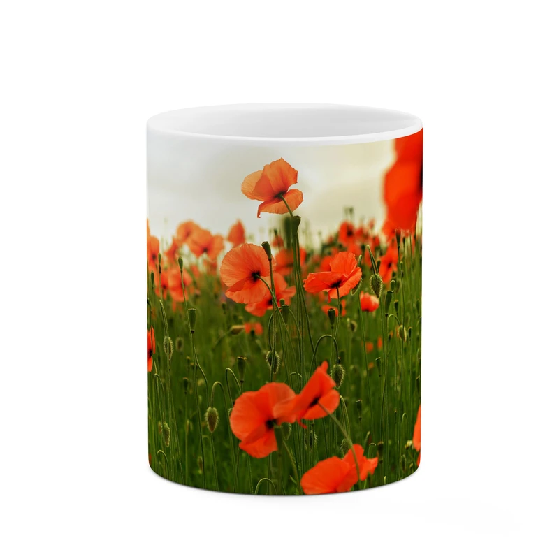 ماگ کاکتی طرح گل کد mgp11228