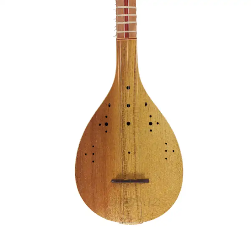 سه تار علی سواری مدل مهدیس