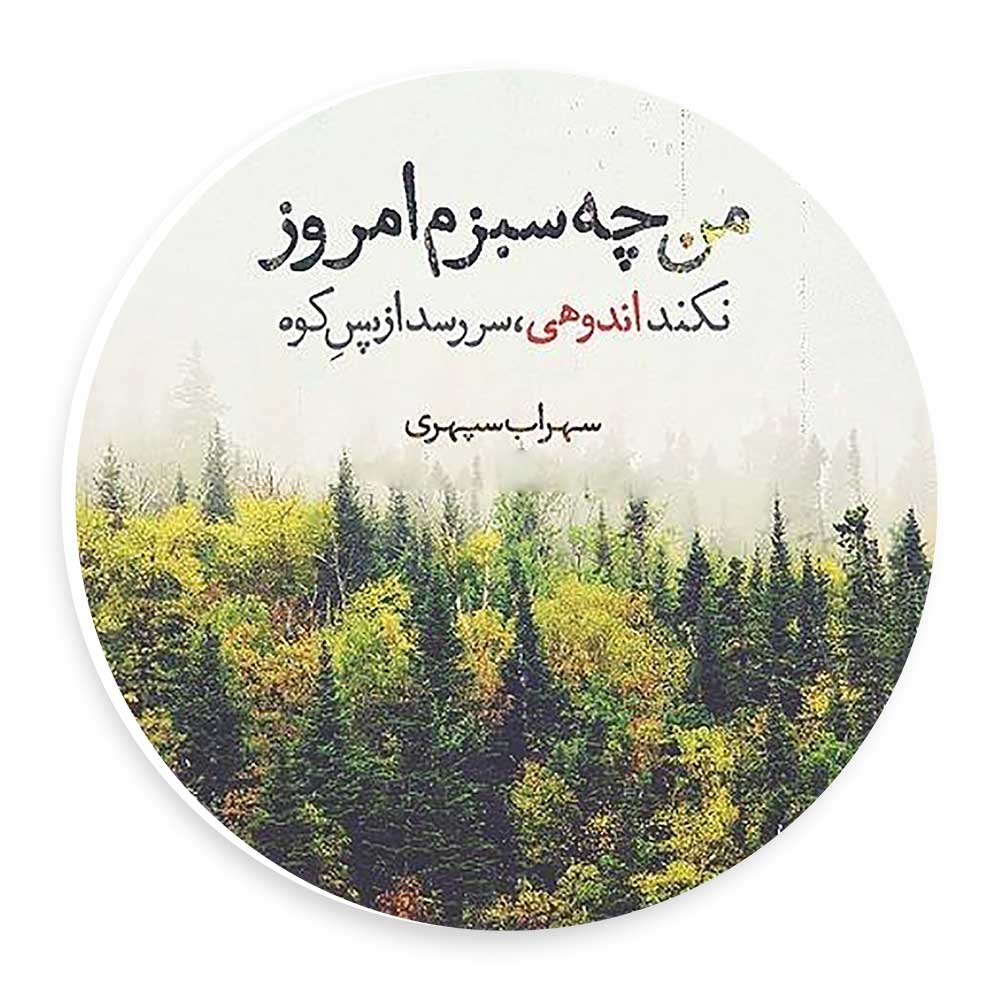 دیوارکوب طرح شعر من چه سبزام امروز مدل wtb958