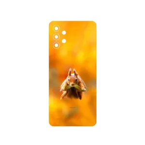 MAHOOT Squirrel Cover Sticker for Samsung Galaxy M32 5G