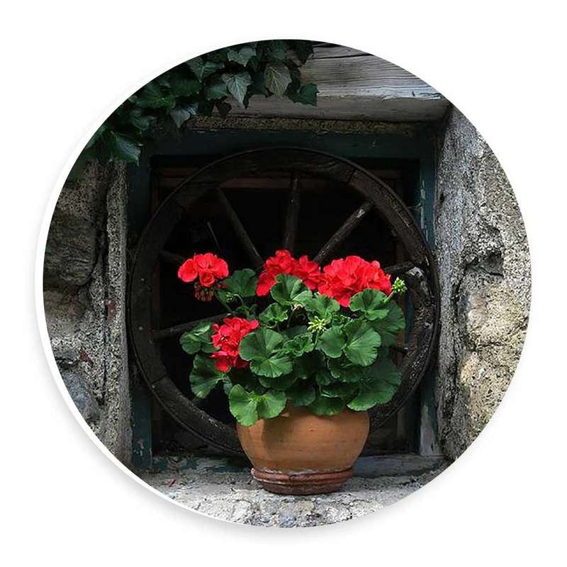 دیوارکوب طرح گلدان شمعدانی مدل wtb219