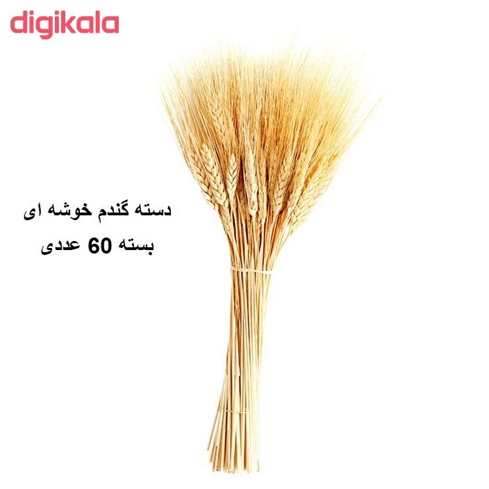 دسته گل خشک مدل خوشه گندم کد 60 main 1 1