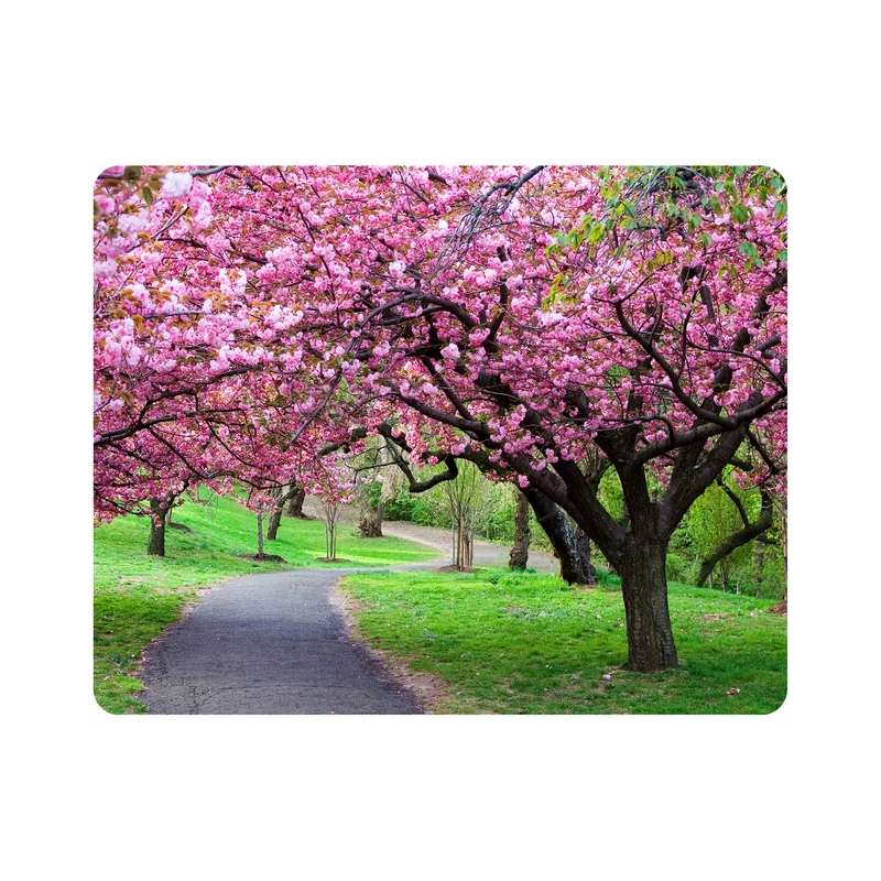 ماوس پد اطلس آبی طرح باغ راه و درخت و گل مدل T7112