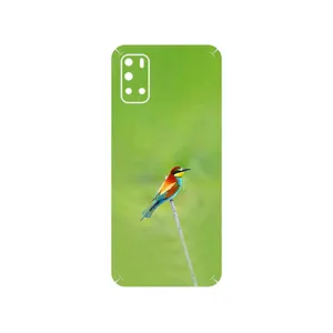 MAHOOT European bee-eater Cover Sticker for Gplus Z10