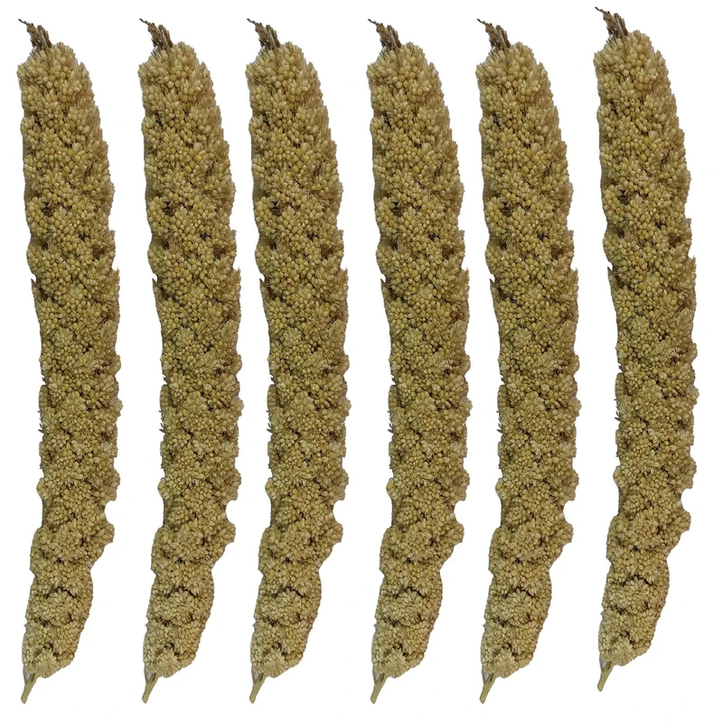 غذای پرنده مدل ارزن خوشه ای بسته شش عددی