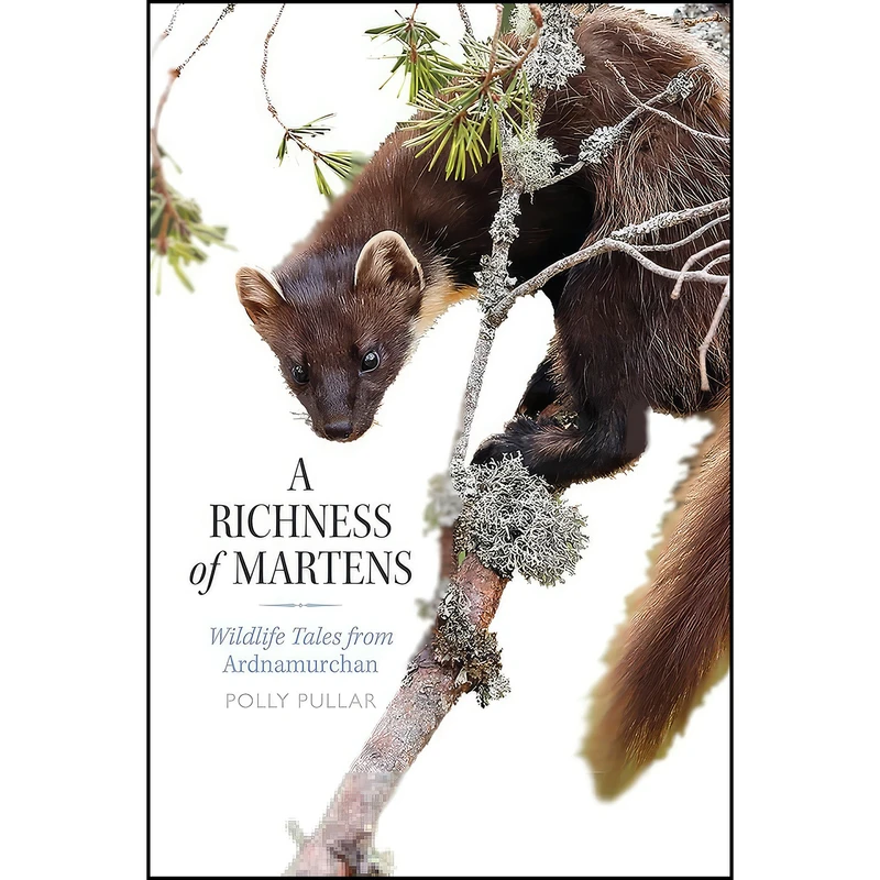 کتاب A Richness of Martens اثر جمعي از نويسندگان انتشارات Birlinn