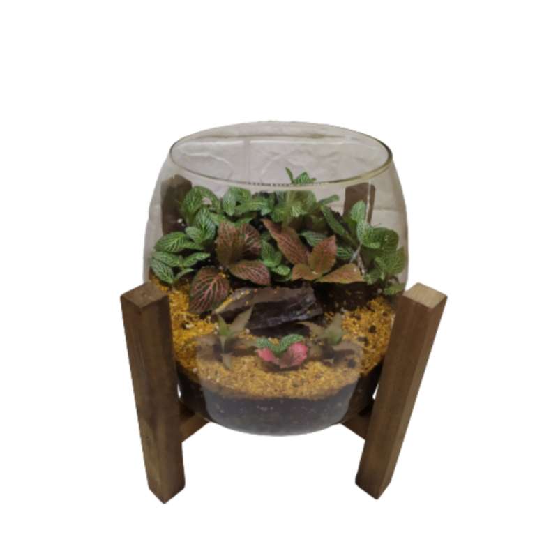 تراریوم گیاه طبیعی مدل آهو تراریوم گیاه طبیعی مدل آهو