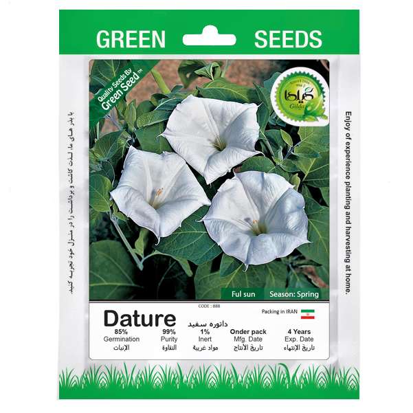 بذر داتوره سفید گیلدا کد 888
