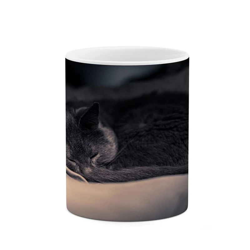 ماگ کاکتی مدل گربه کد mgh14252