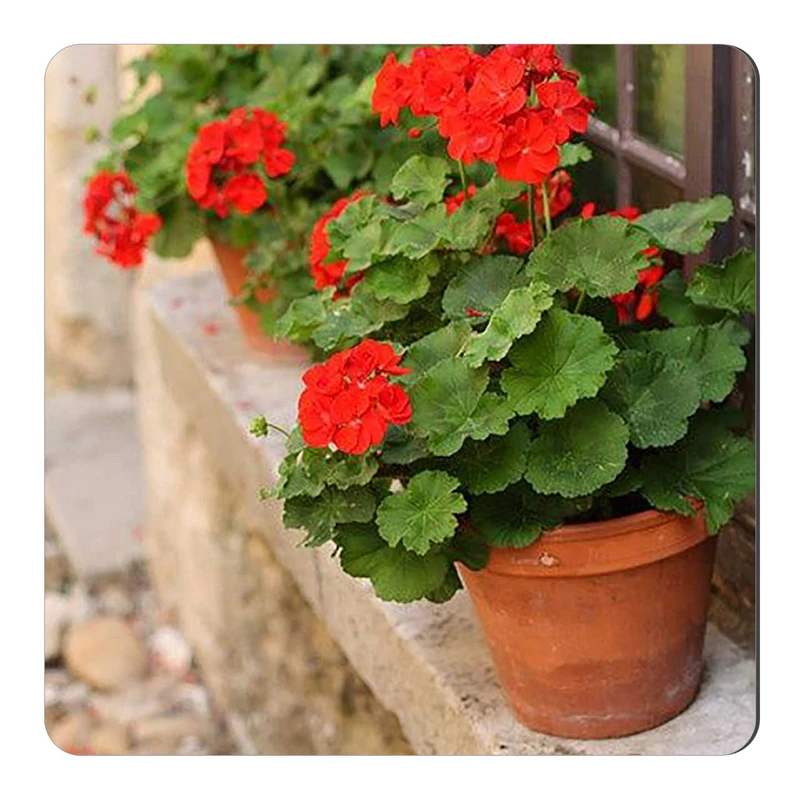  مگنت طرح شمعدانی کد wmg2225