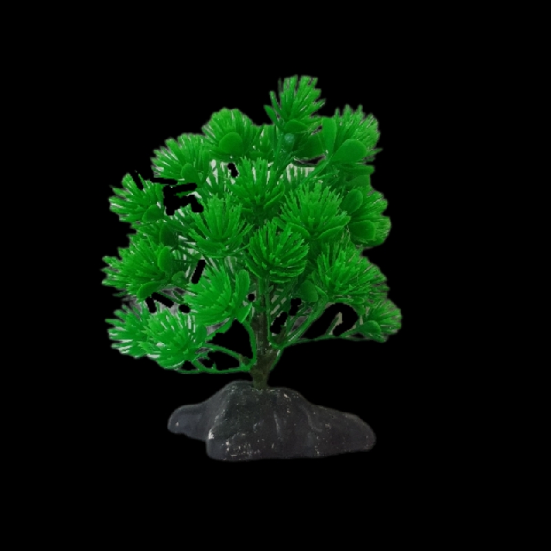 گیاه تزیینی آکواریوم مدل درختچه کد 120