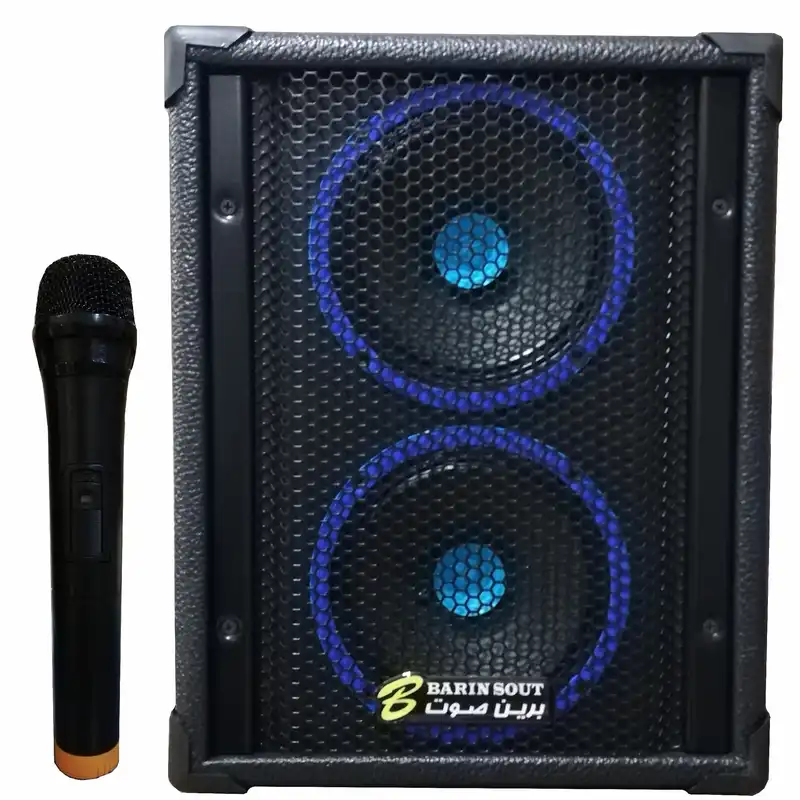 اکو پرتابل برین صوت مدل 2660W به همراه میکروفن بی سیم