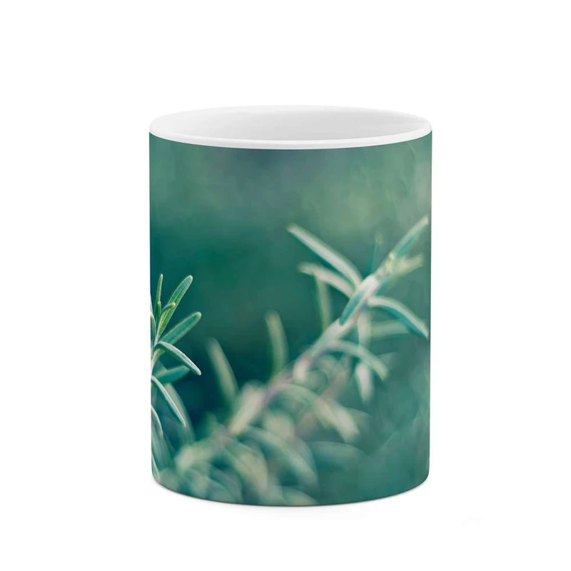 ماگ کاکتی مدل برگ کد mgh11992