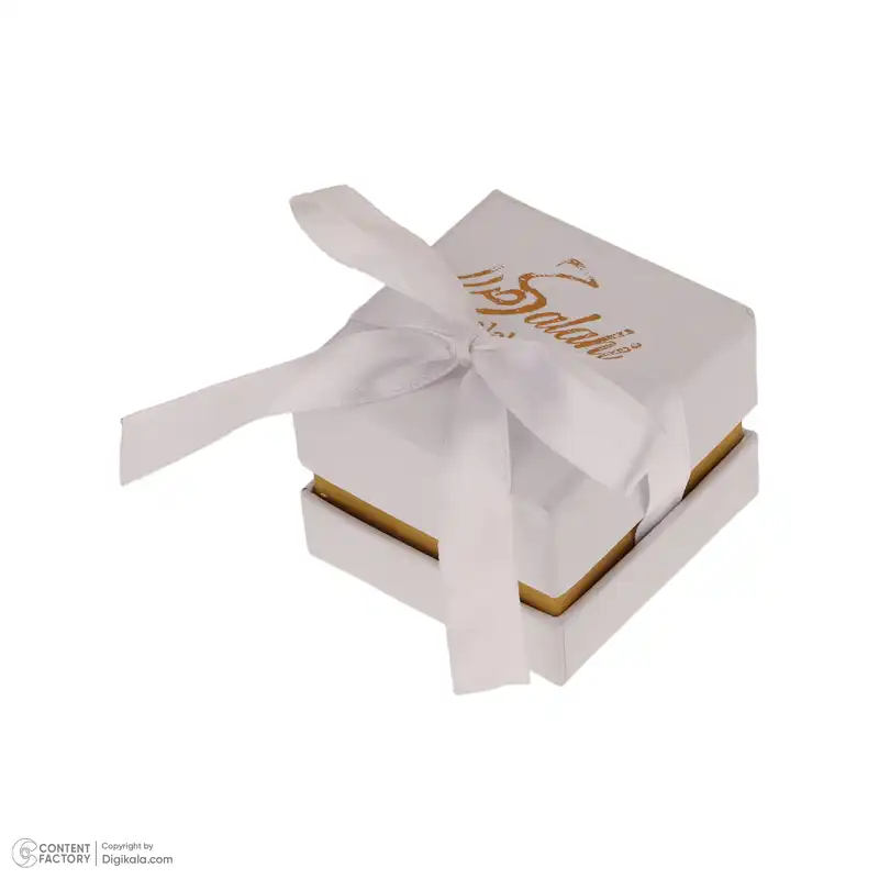 گردنبند طلا 18 عیار زنانه صلاحی گلد مدل 15427