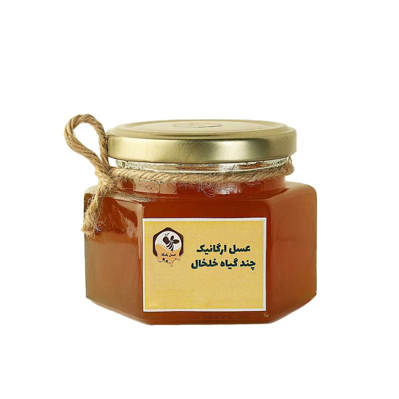 عسل ارگانیک شهد روان پلنگا - 250 گرم 