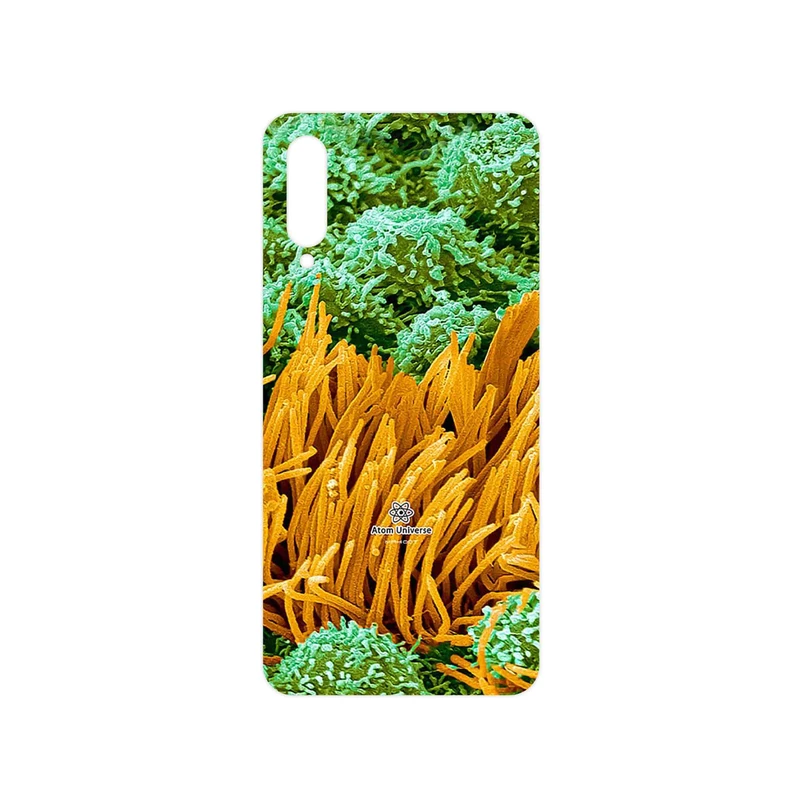 برچسب پوششی ماهوت مدل Atom Universe 6 مناسب برای گوشی موبایل سامسونگ Galaxy A50s
