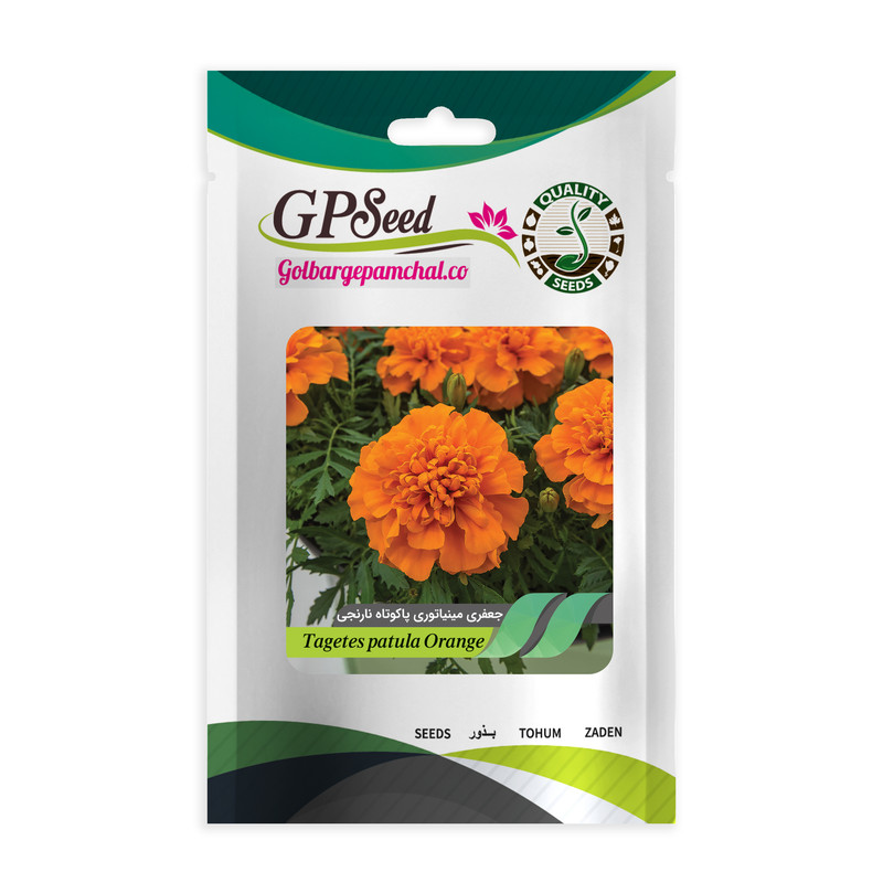 بذر گل جعفری مینیاتوری نارنجی گلبرگ پامچال کد GPF-043