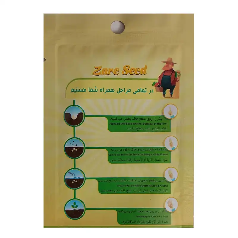 بذر مرزه زارع سید کد ZS-121