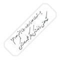 شعر عاشقانه فاضل نظری 0599