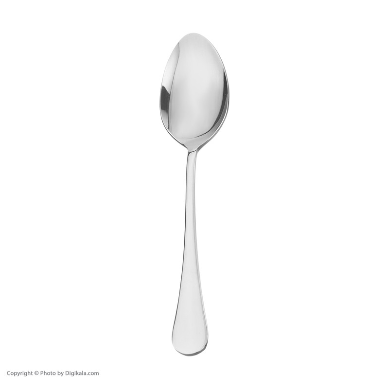 سرویس قاشق و چنگال 12 پارچه صنایع استیل ایران مدل پارما کد 888