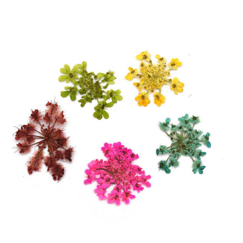 گل خشک مدل شوکران کد LRG بسته 5 عددی