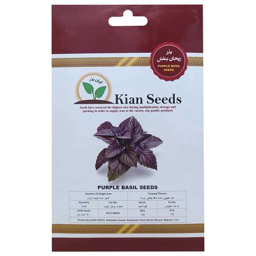 بذر ریحان بنفش کیان بذر کد KBZ-06