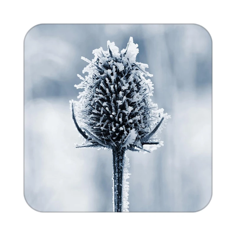 زیر لیوانی کاکتی طرح گل مدل mp17786