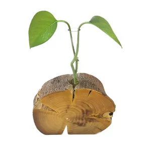 گلدان چوبی مدل انجیر