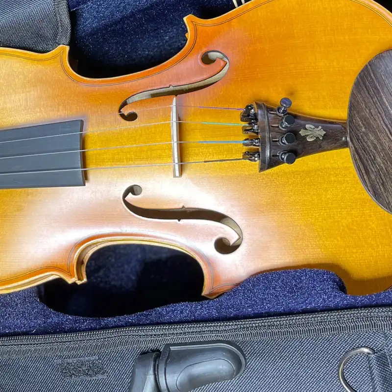 ویولن جوزپه تارتینی مدل 305