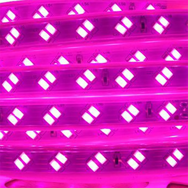 ریسه ال ای دی مدل شلنگی سوکت دار کد 5730 طول 10 متری