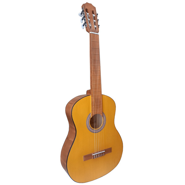 گیتار الگرو مدل PRO کد 5