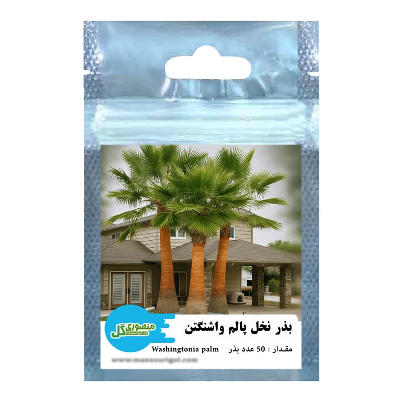 بذر نخل پالم واشنگتن منصوری گل کد Mpw50 وزن 4 گرم