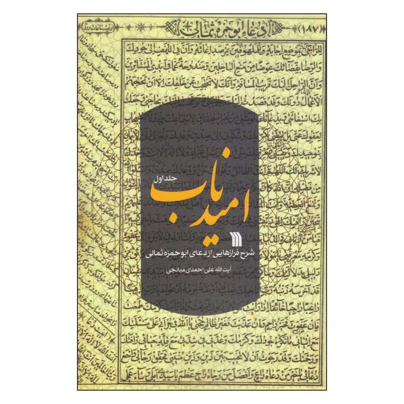 کتاب امید ناب اثر آیت الله علی احمدی انتشارات سروش